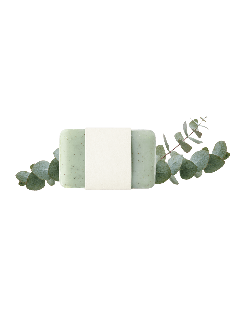 Shop Primary Image Shop Primary Image